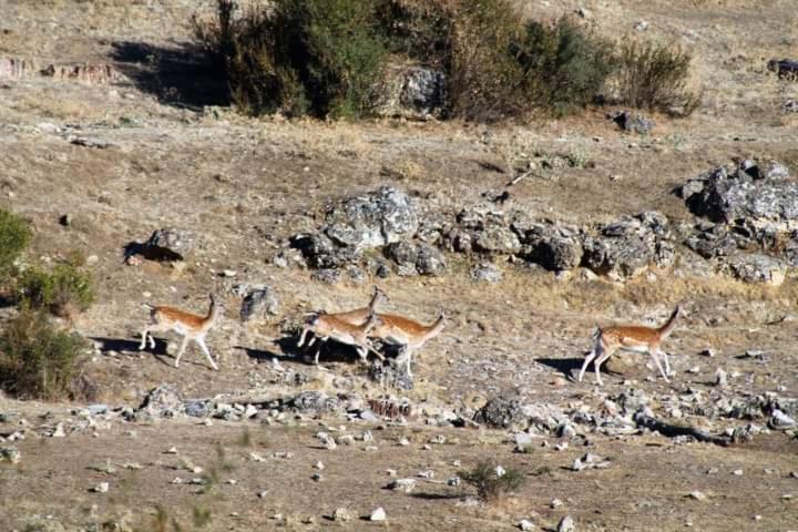 B&B En Valdemoro De La Sierra Kültér fotó